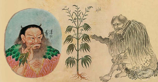 CBD Wellness: Exploring the Potential Health Benefits" "Unlocking CBD's Potential: Possible Health Benefits Revealed" "CBD Miracles: Potential Health Benefits Explored" "Embracing CBD: Potential Health and Wellness Advantages" "CBD Possibilities: Discover