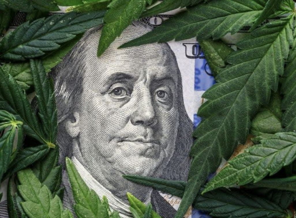 the real reason Cannabis was illegal