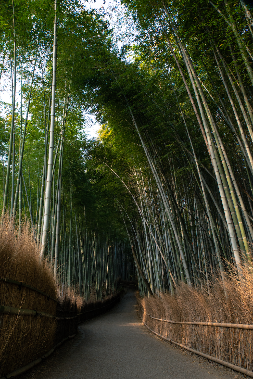 be more zen today with CBD